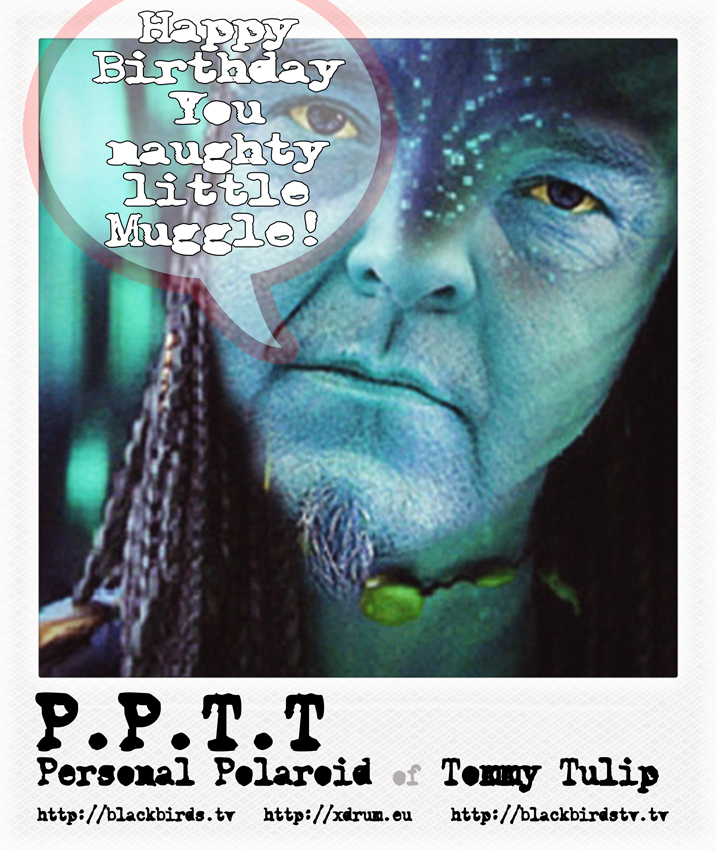 P.P.T.T. - Personal Poloroid Tommy Tulip zum Geburtstag