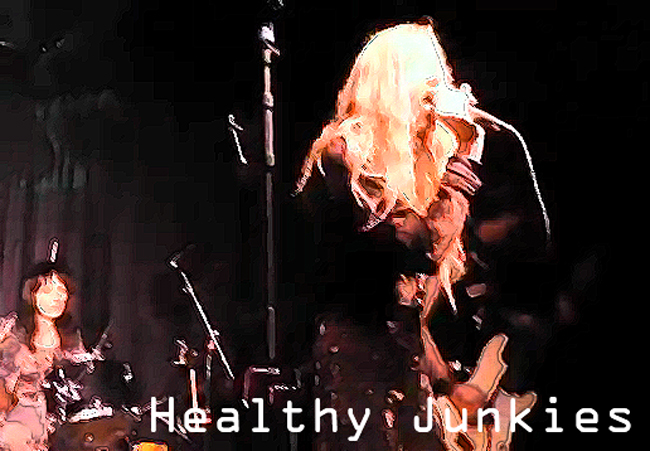 Healthy.Junkies_Banner