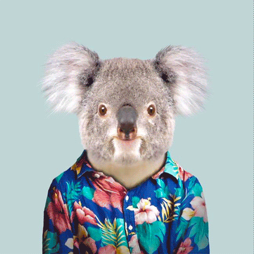 Morphin Koalabear