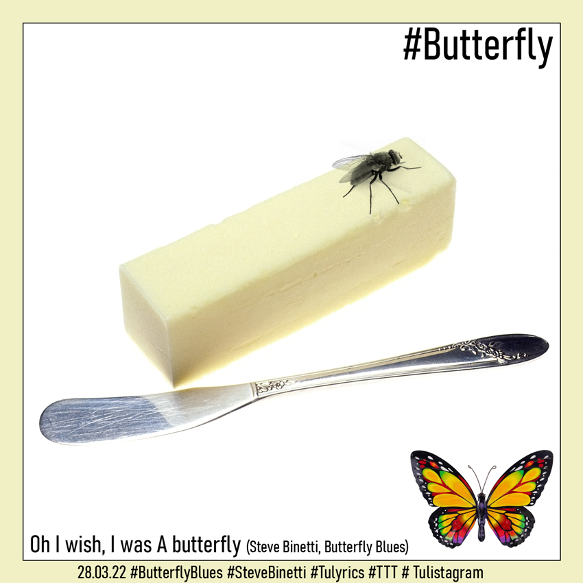 Oh I wish, I was A butterfly (Steve Binetti, Butterfly Blues) 28.03.22 #ButterflyBlues #SteveBinetti #Tulyrics #TTT # Tulistagram