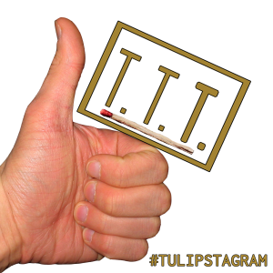 Thumbs up! Like! Gefällt mir! #Tulipstagram #TTT