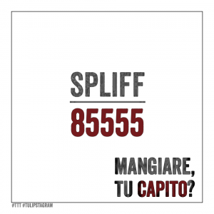 #Spliff #85555 #Carbonara #TTT #Tulipstagram