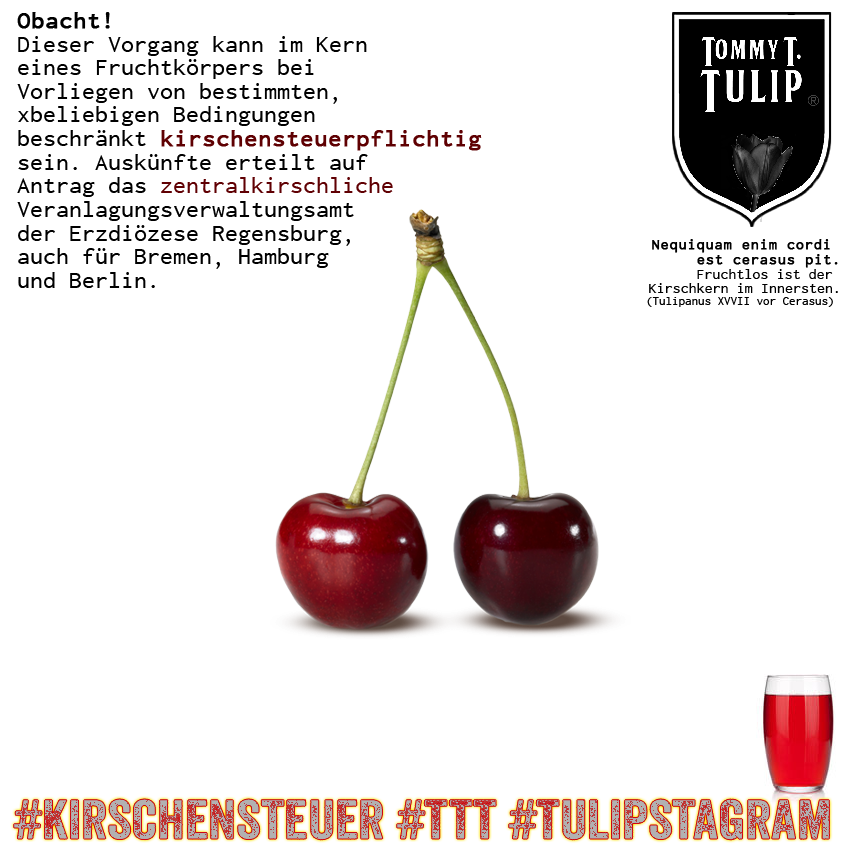 #Kirschensteuerpflicht #TTT #Tulipstagram