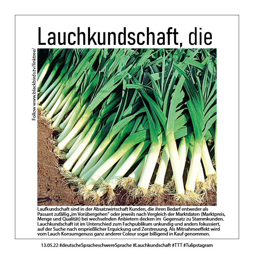 03.05.22 #deutscheSpracheschwereSprache #Lauchkundschaft #TTT #Tulipstagram