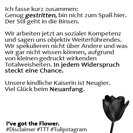 Genug gestritten. I've got the Flower. #Disclaimer #TTT #Tulipstagram