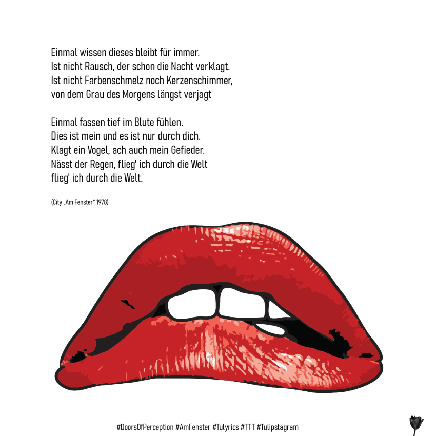 Lyrics - Am Fenster (Aus dem Archiv) #DoorsOfPerception #AmFenster #Tulyrics #TTT #Tulipstagram