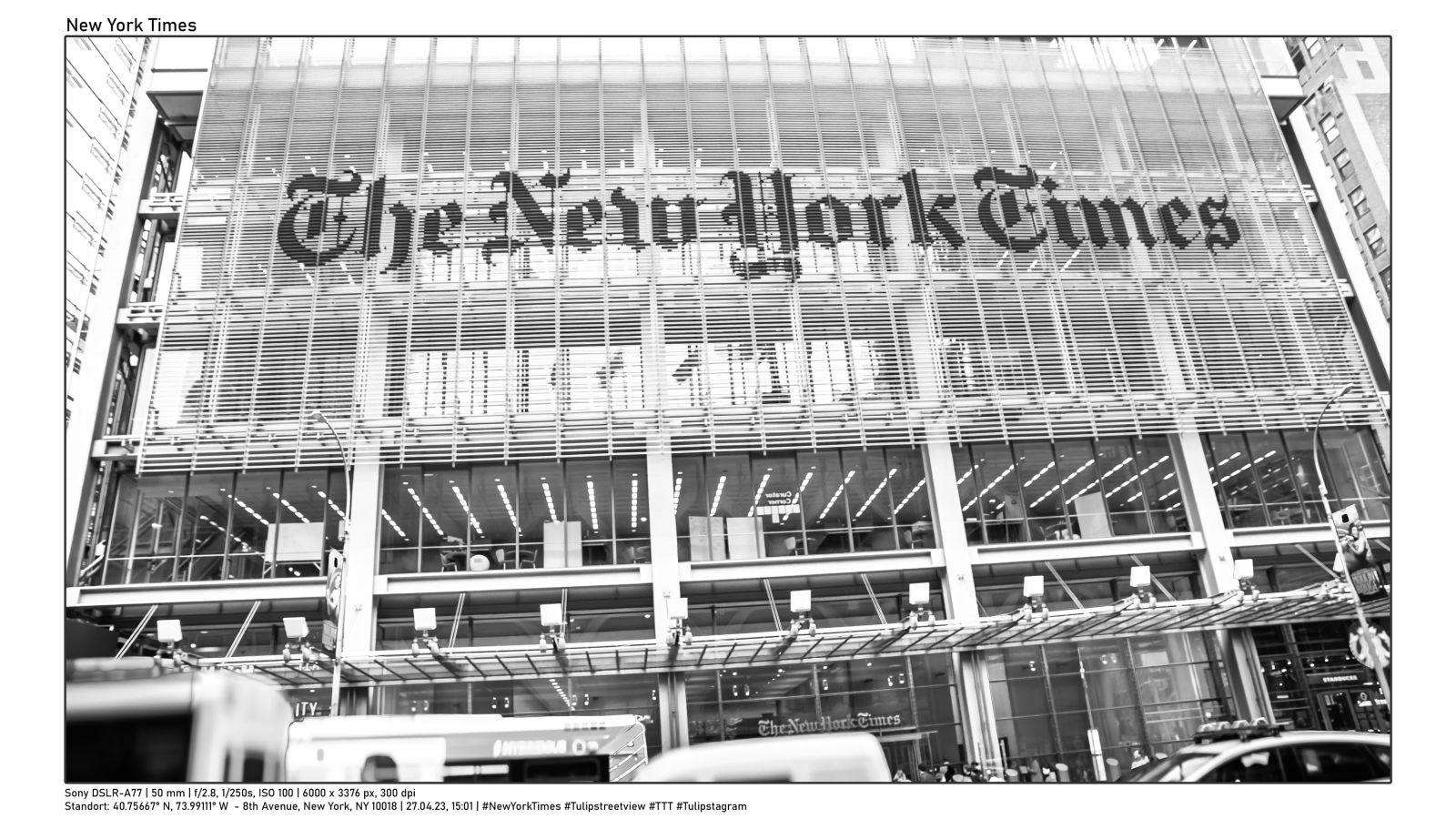 27.04.23, 15:01 | #NewYorkTimes #Tulipstreetview #TTT #Tulipstagram