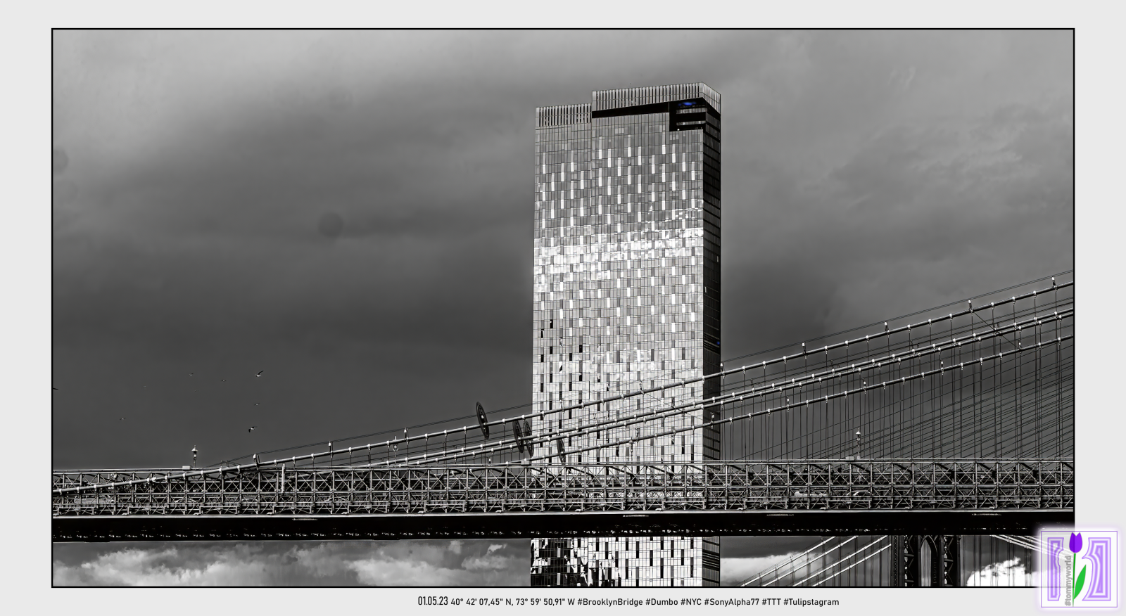 01.05.23 #BrooklynBridge #Dumbo #NYC #SonyAlpha77 #TTT #Tulipstagram