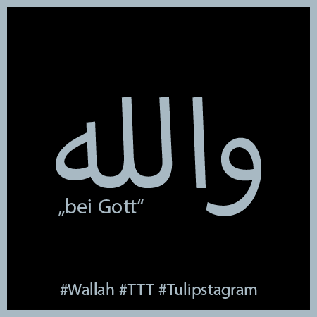 #Wallah_Version_05.10.26 - #Wallah #TTT #Tulipstagram